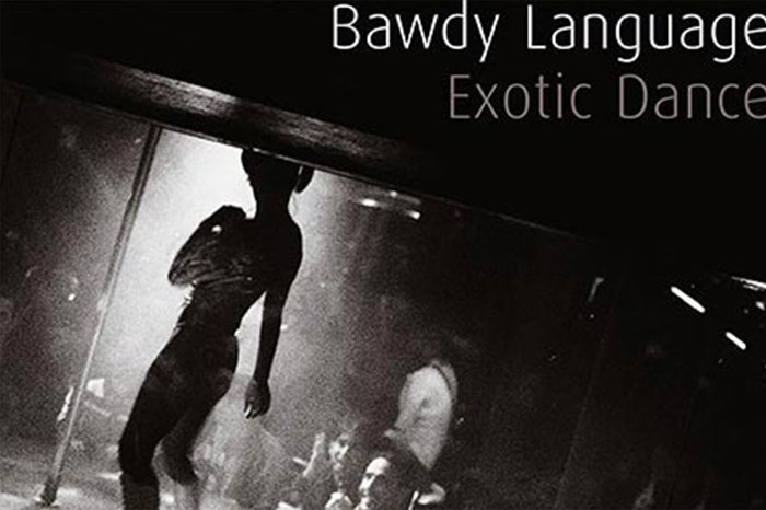 Beverley Abramson Photography | Bawdy Language | book design
